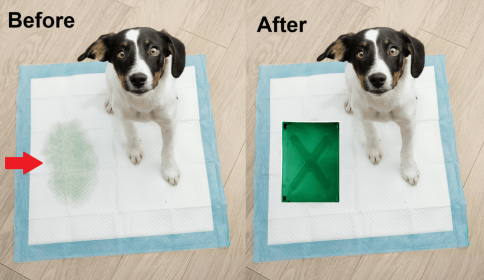 Hide A Pee Pee Spot Covers for Dog Pee Pads | 1 Dark Green Paw Prints X Starter Kit